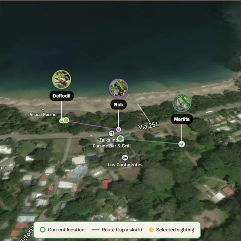 fellowship map 2.jpg