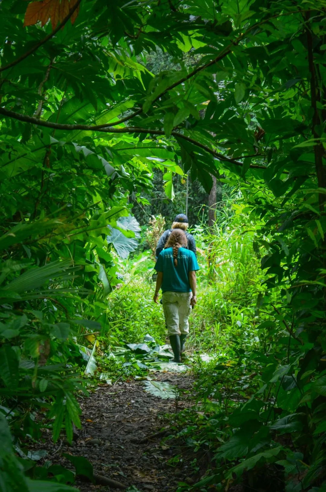 Excursões em Puerto Viejo, Costa Rica: Trilho Wolaba – Passeio para observar preguiças (5).jpg