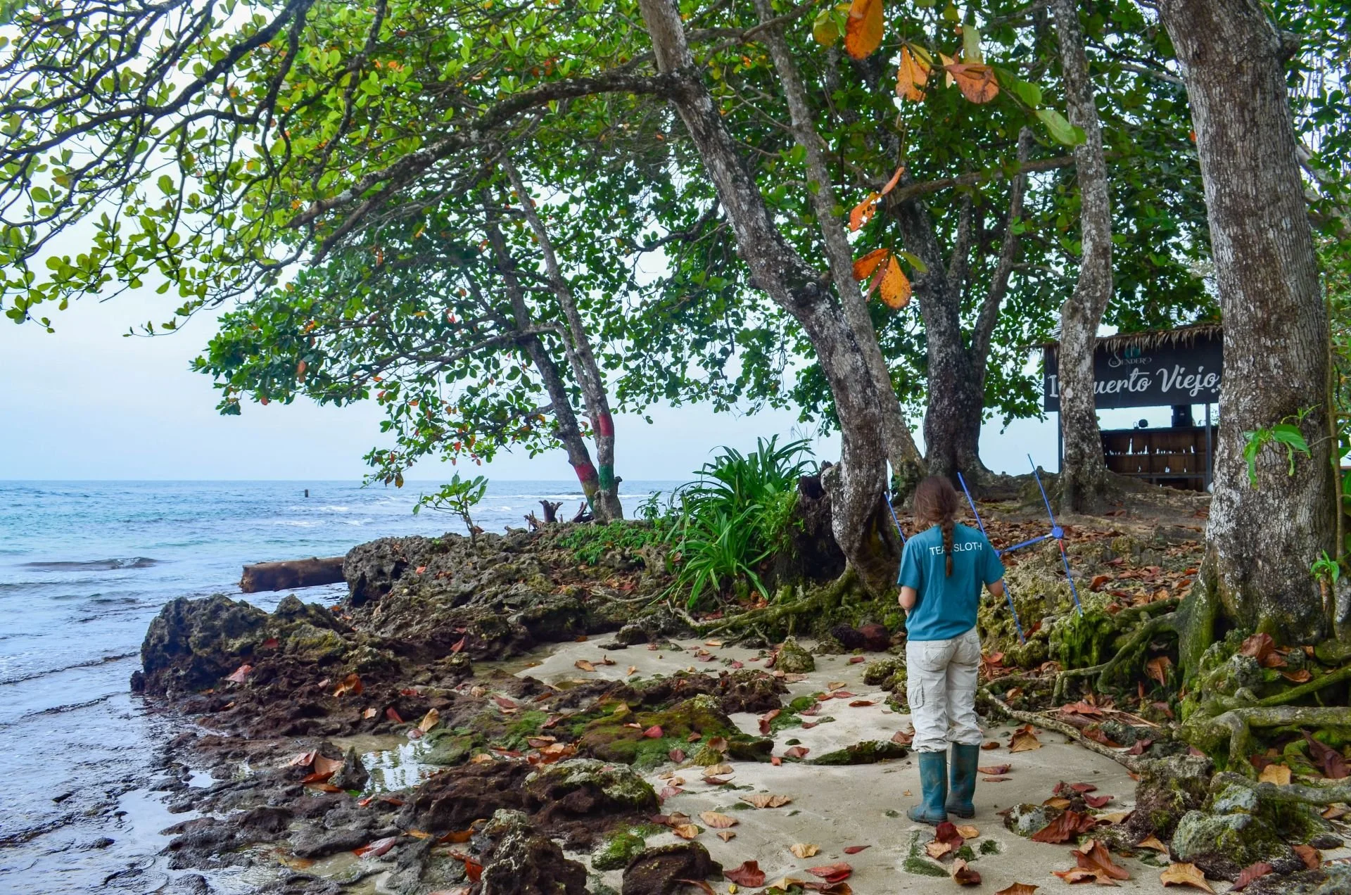 Excursões em Puerto Viejo, Costa Rica: Trilho Wolaba – Passeio para observação de preguiças (12).jpg