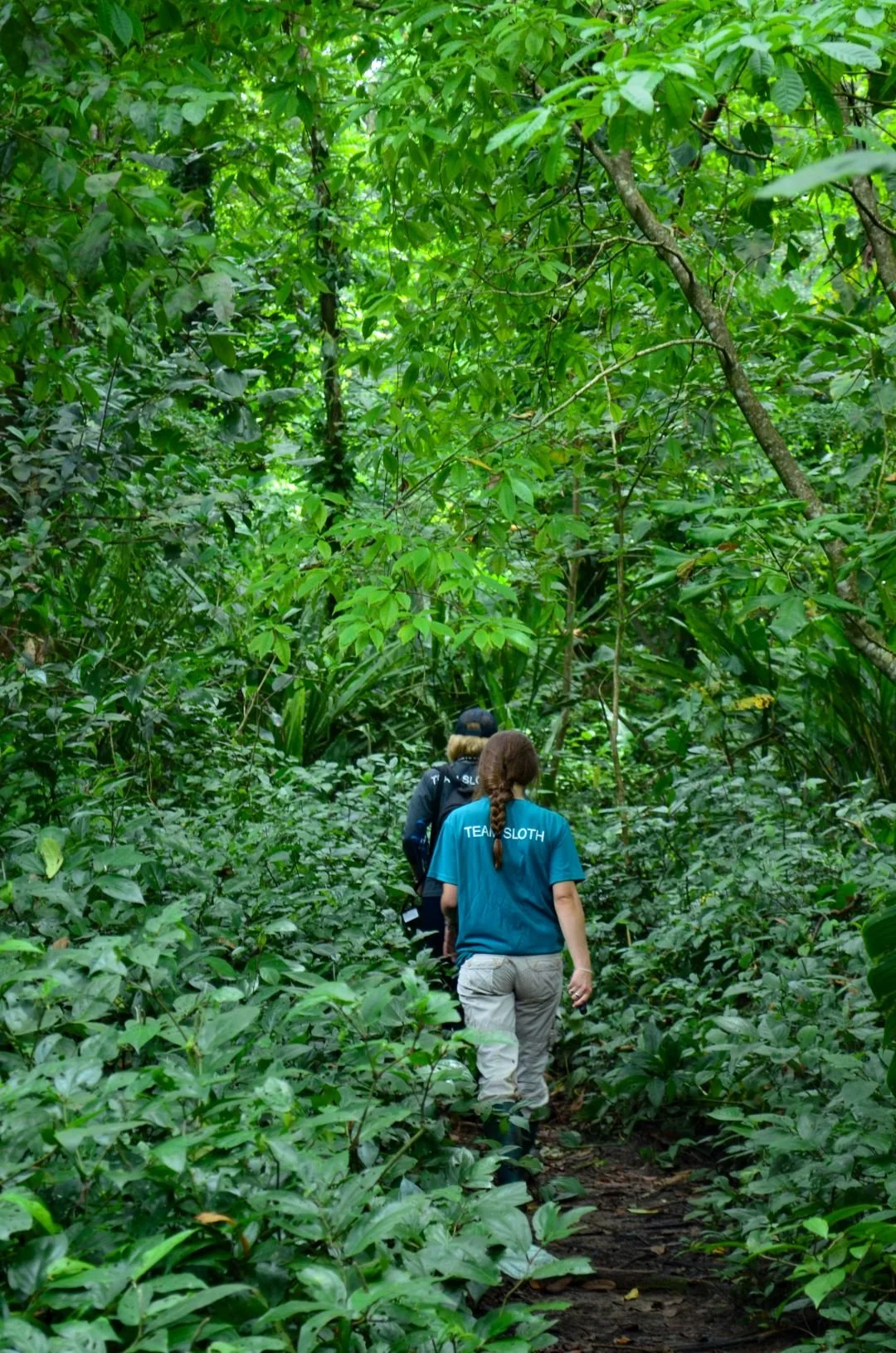 Excursões em Puerto Viejo, Costa Rica: Trilho Wolaba – Passeio para observar preguiças (4).jpg