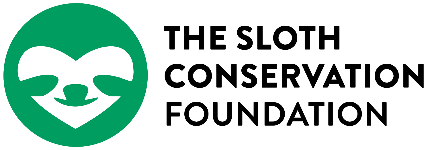 The Sloth Conservation Foundation