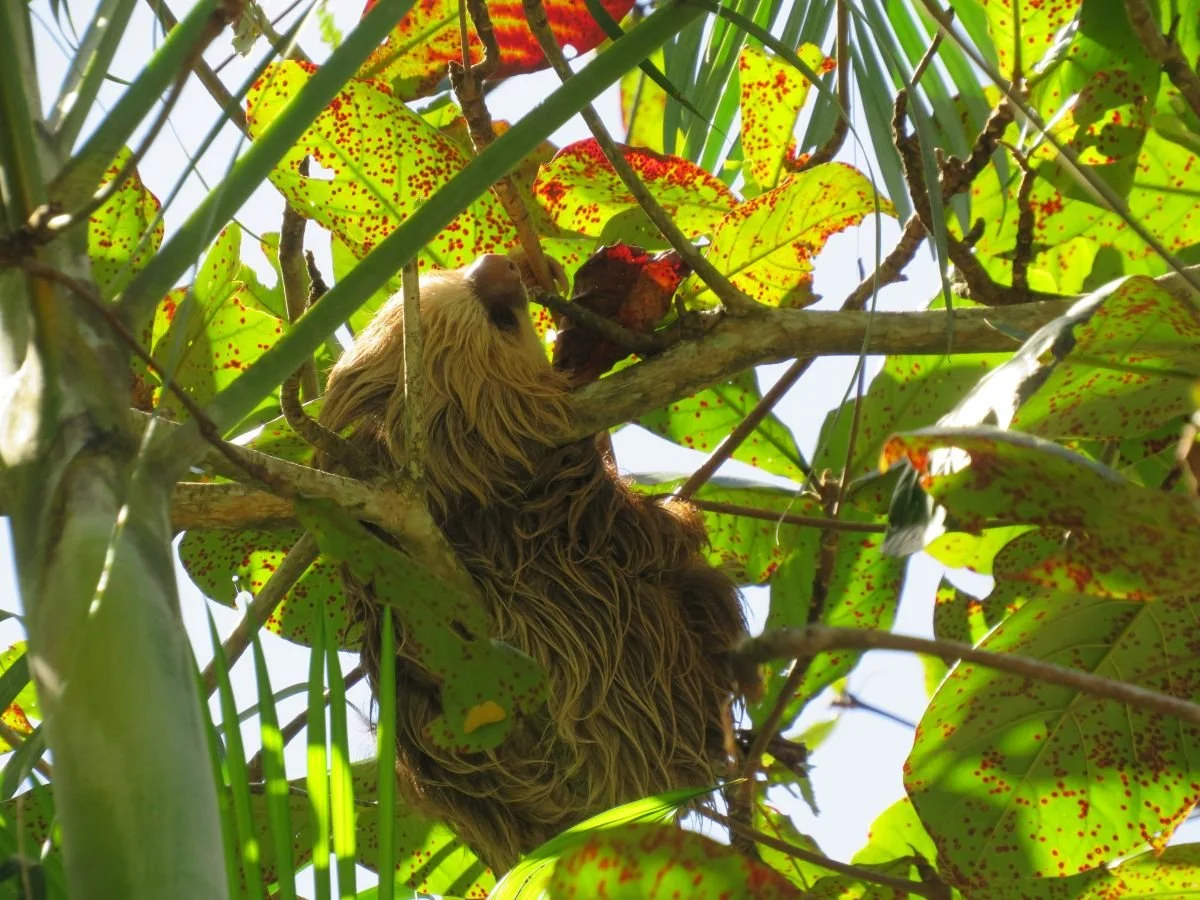 A Month Of Recovery | March ‘26 