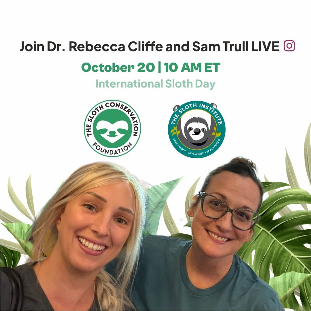 Sloth Protection Alliance Announcement