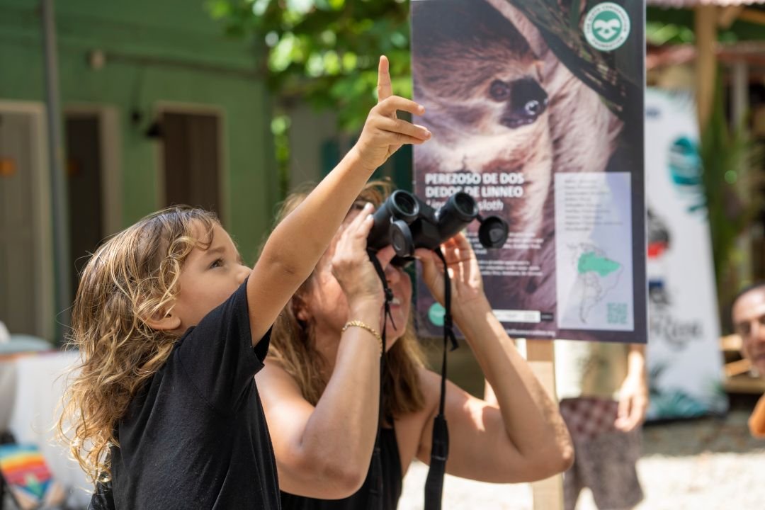 How to Choose an Ethical Wildlife Tour: A Guide to Responsible Wildlife Tourism