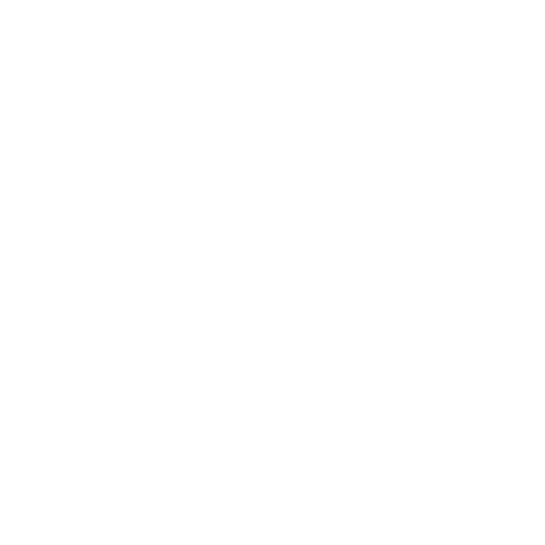 Icons for Coding Website (10).png