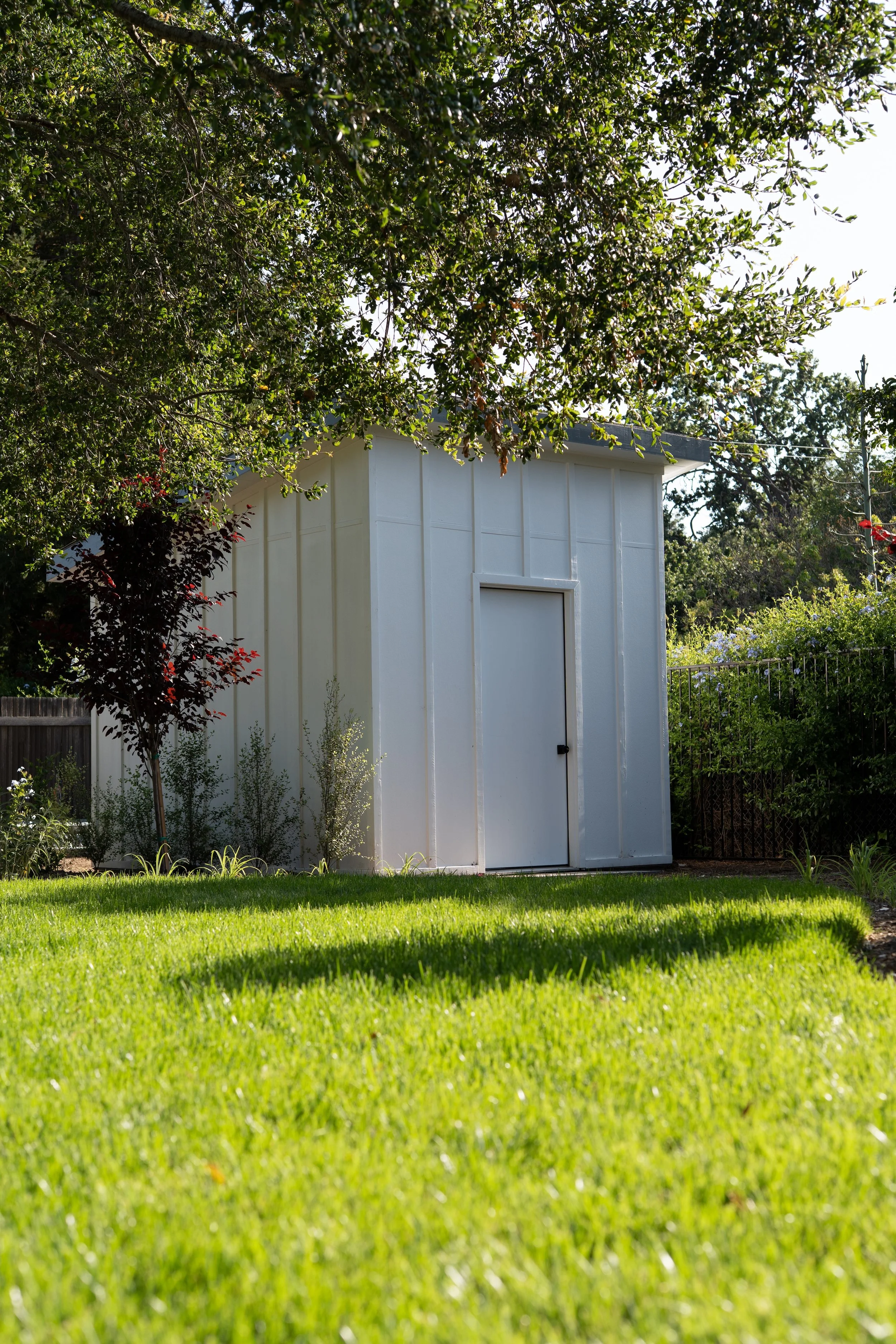 Shed in the backyard