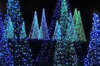 A Magical Idea for You