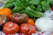 Caprese Salad