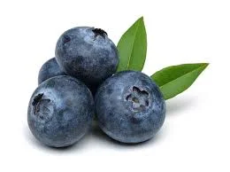 Blueberry Smoothies