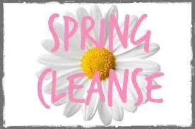 2020 Spring Cleanse