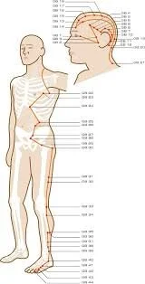 Stiff Neck and Shoulders in the Morning?