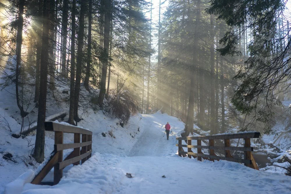 How Will You Prepare for Winter?