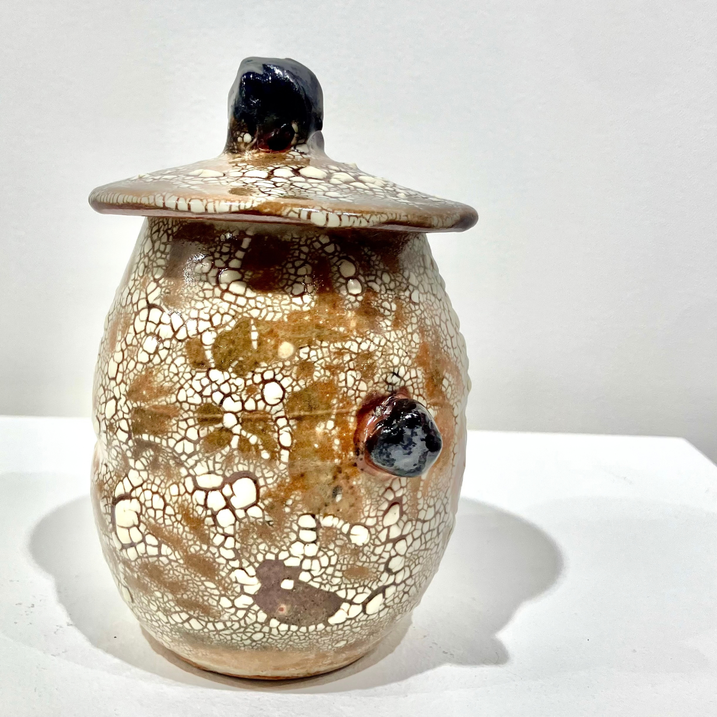 Small Crawl Cachet Jar, Shino Glaze Pottery 