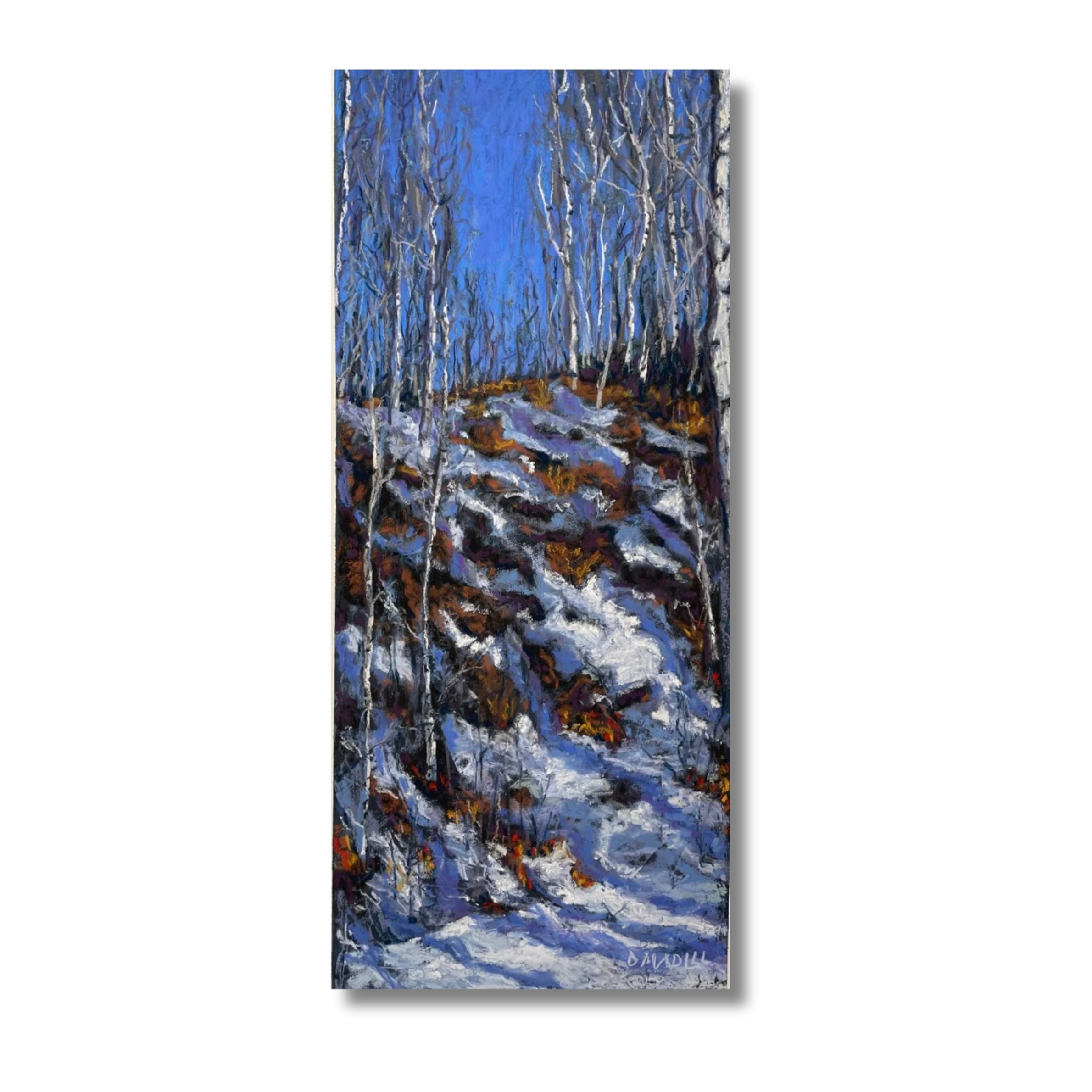 "Spring Slope", 
Soft pastel, acrylic base on gessoed mdf panel, 24" x 12" Framed 2026