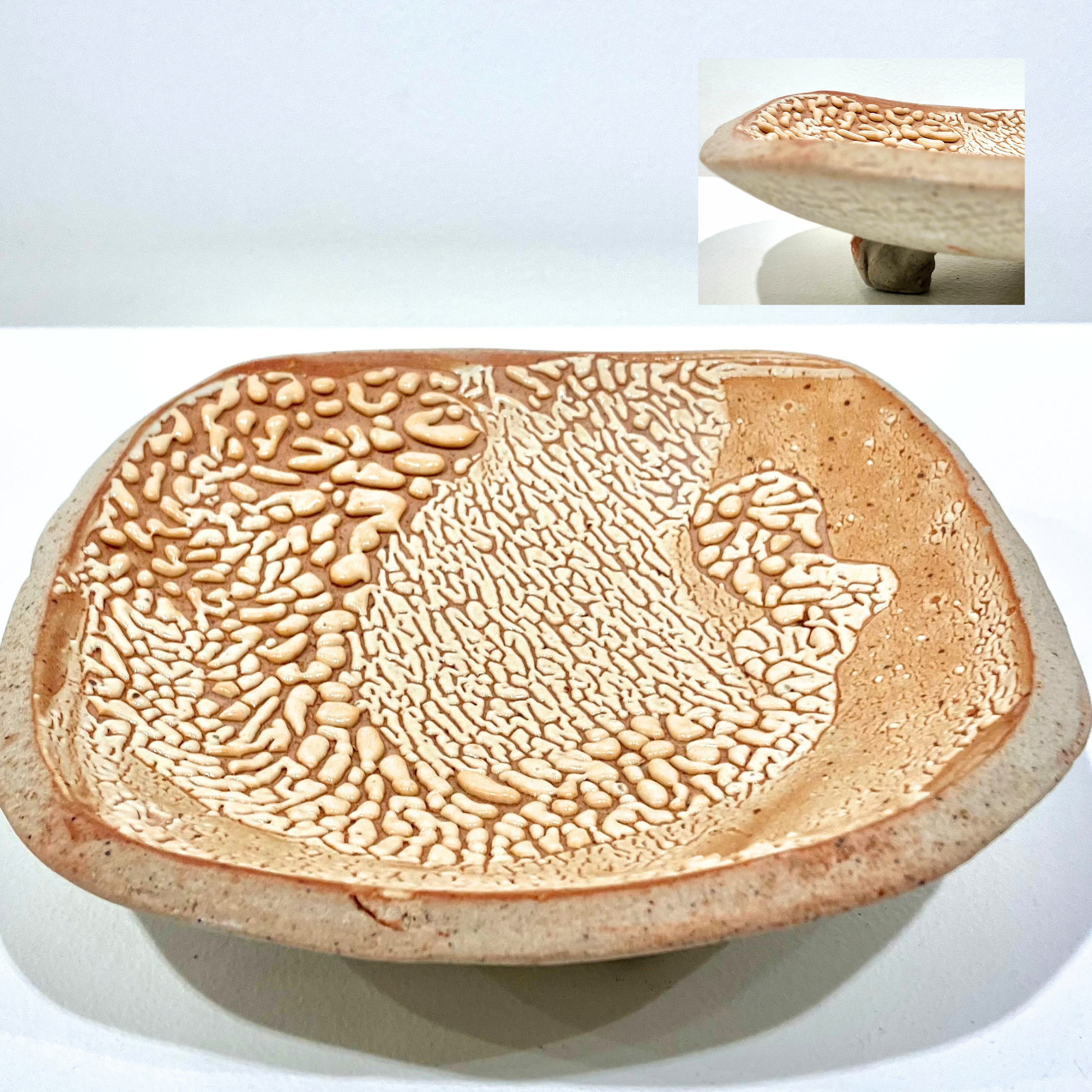 Crawl Sweets Tray, Shino Glaze Pottery 