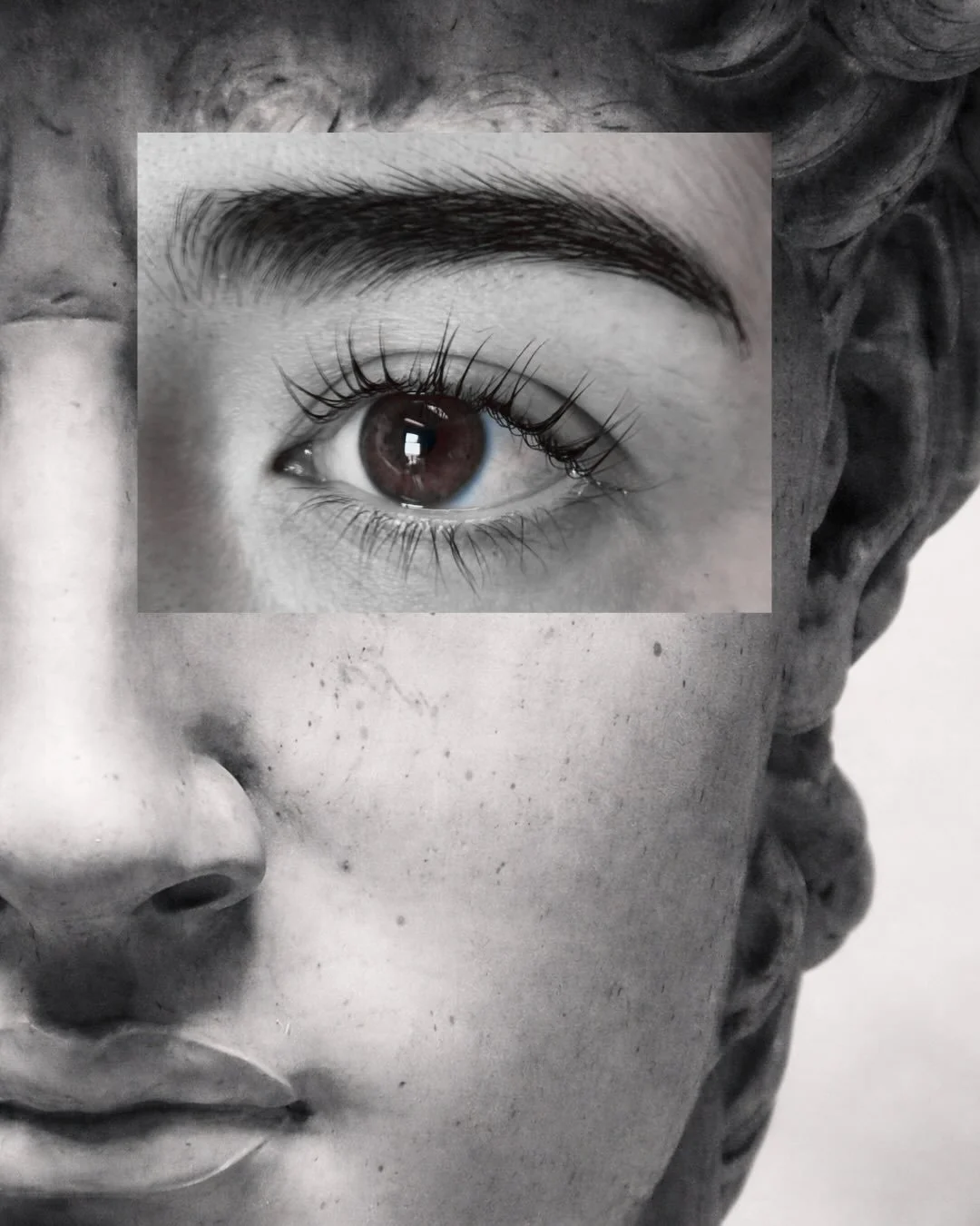 keratin lash lift + tint using @thelashshop.ca 🤍

Lake country | Kelowna | Rutland | lash artist | the lash shop | mua | brow lamination | brow wax