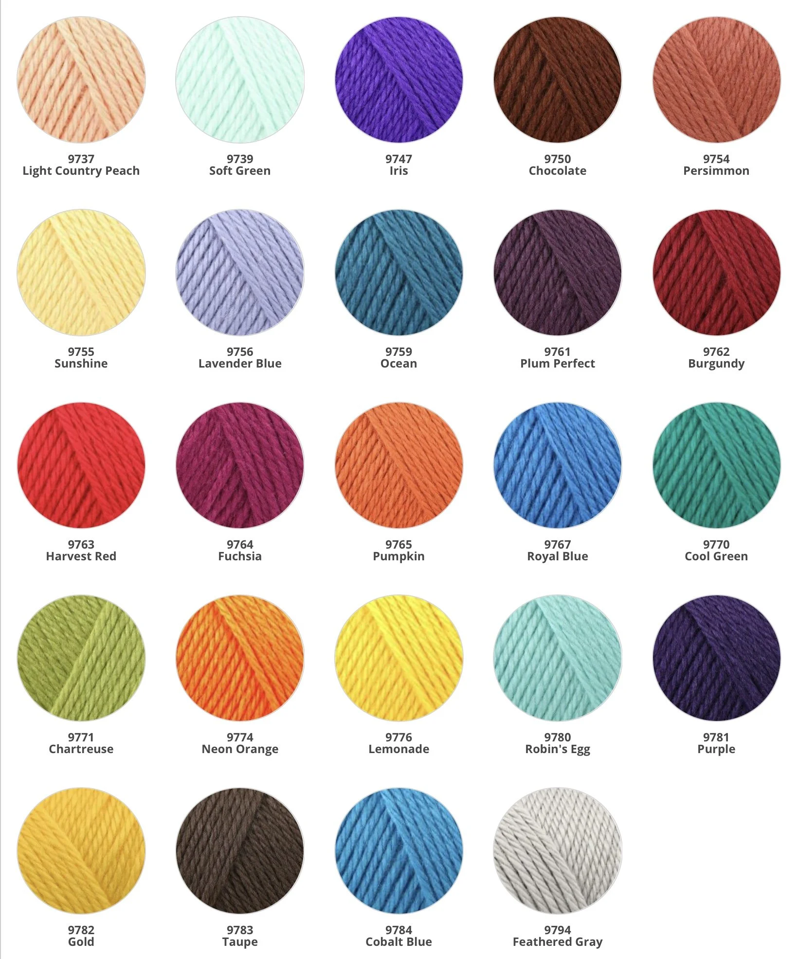 IMG_0259.jpeg (Copy)