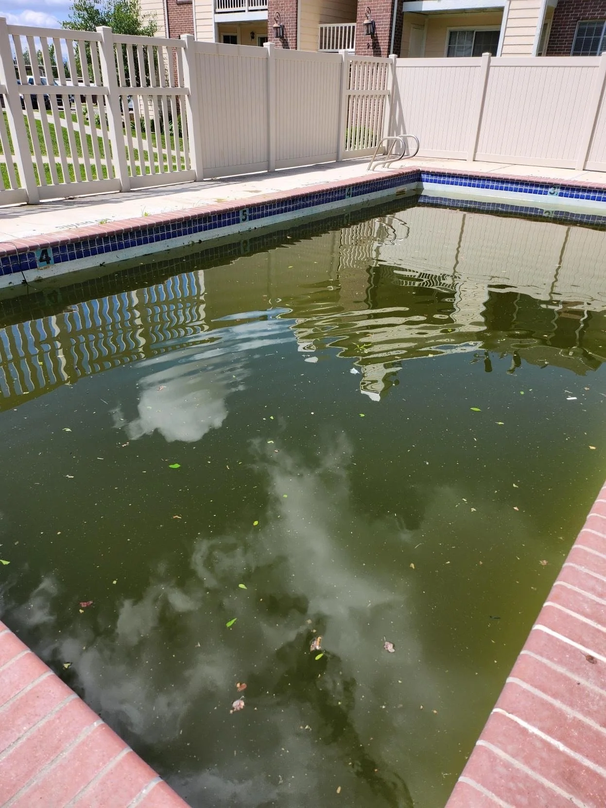 Before picture with dirty water.