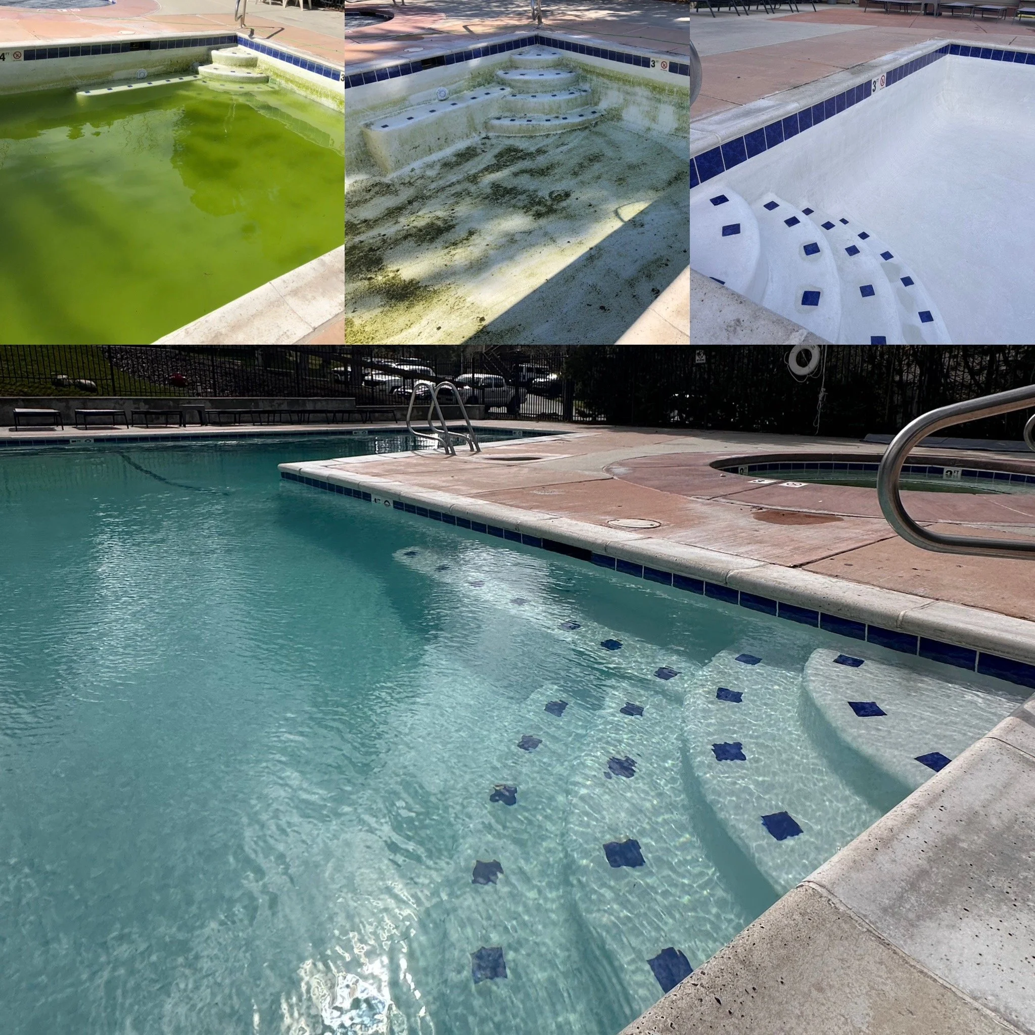 A collage of four pictures showing the stages of cleaning a pool after winter. Starting with green, gross water and ending with clear blue water.