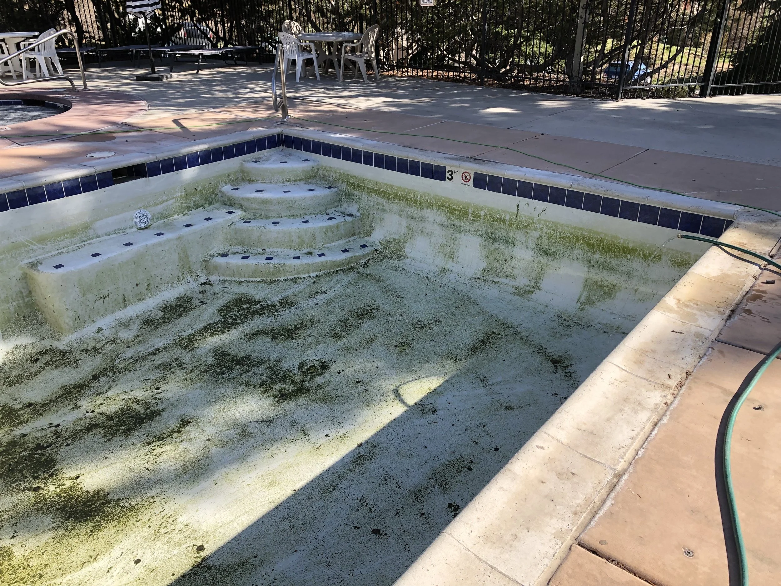 Before picture of large pool with green algae on the surface of the pool. 