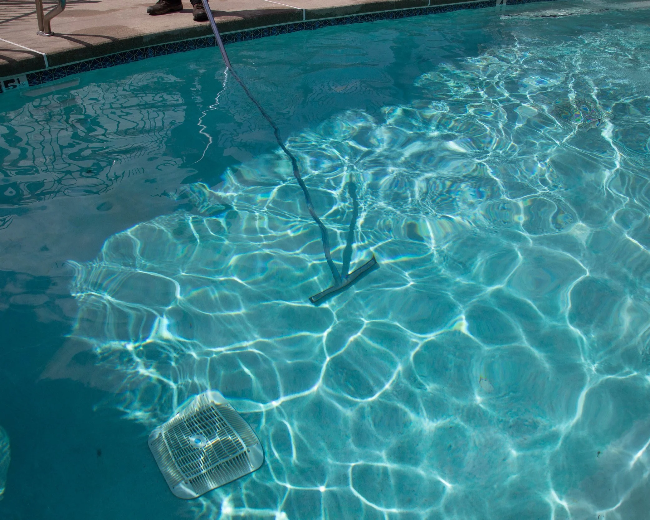 Brush in Pool (1 of 1).jpg