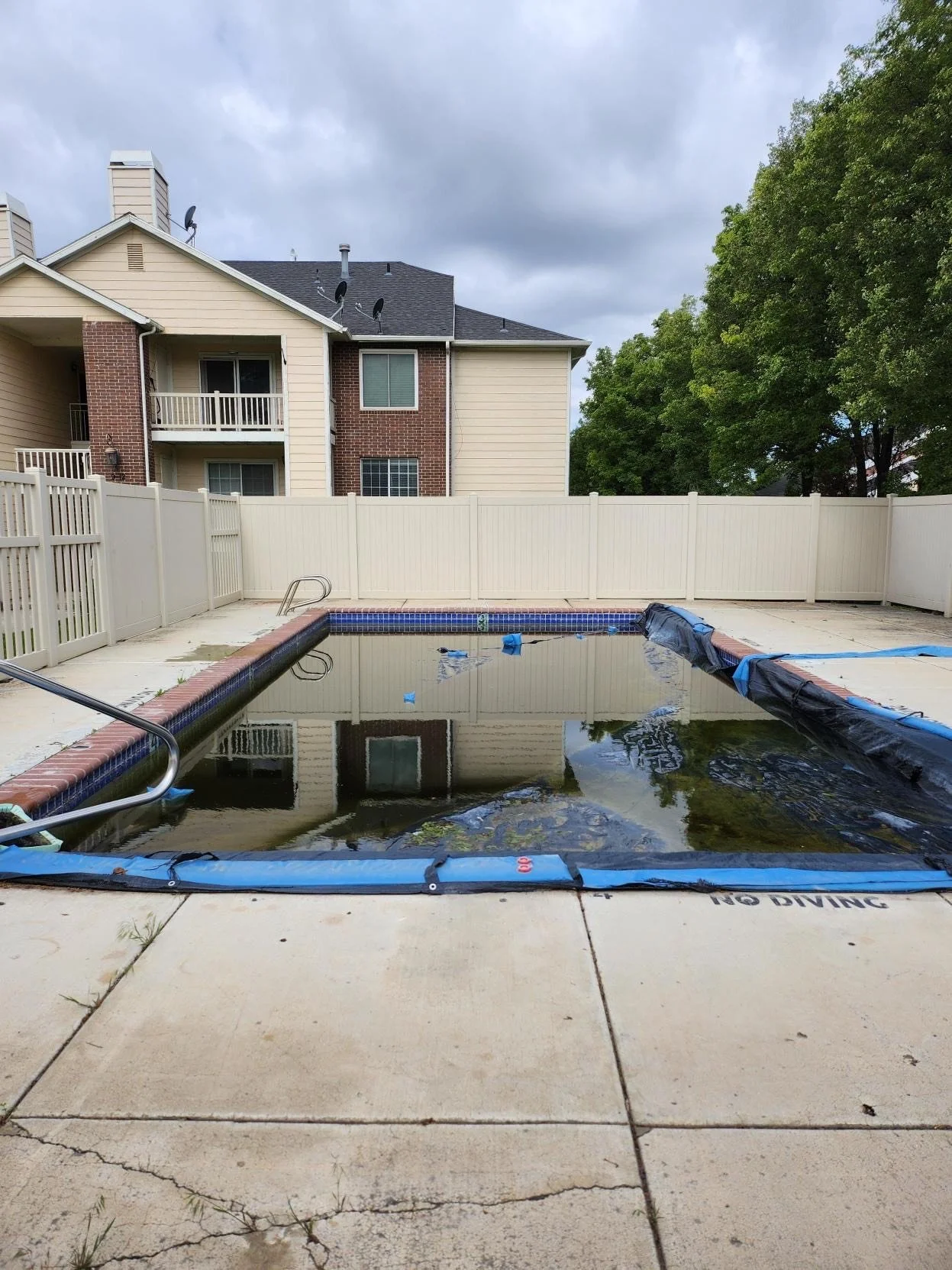 Before picture of pool in disrepair, and dirty water.