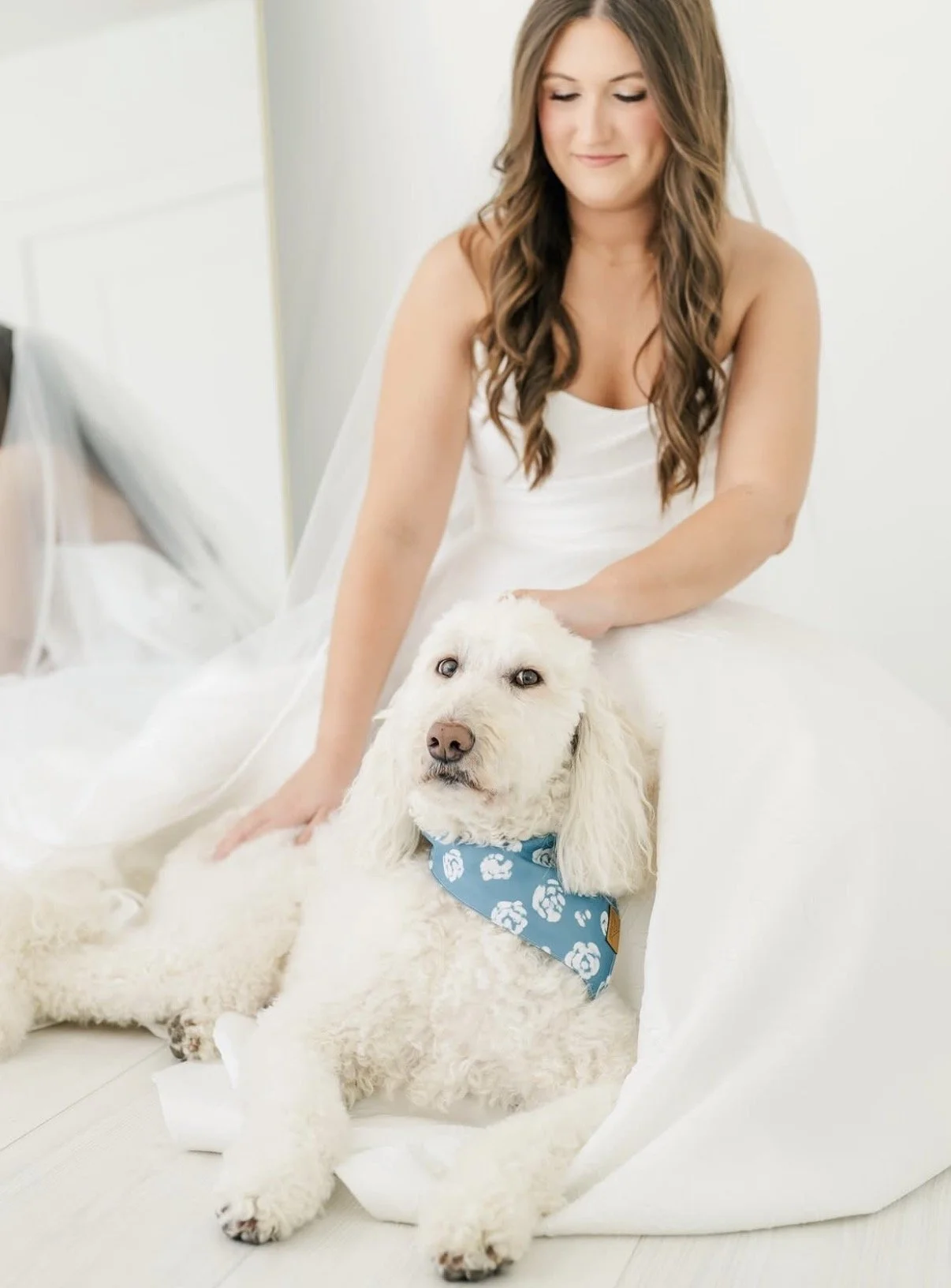 A woman with long brown hair in a white dress sitting on a bed with a white dog and a smaller dog in front of her. The woman gently rests her hand on the large dog, and the smaller dog wears a blue bandana with white paw prints.