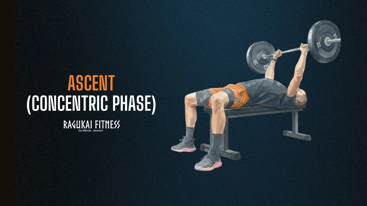 barbell bench descent