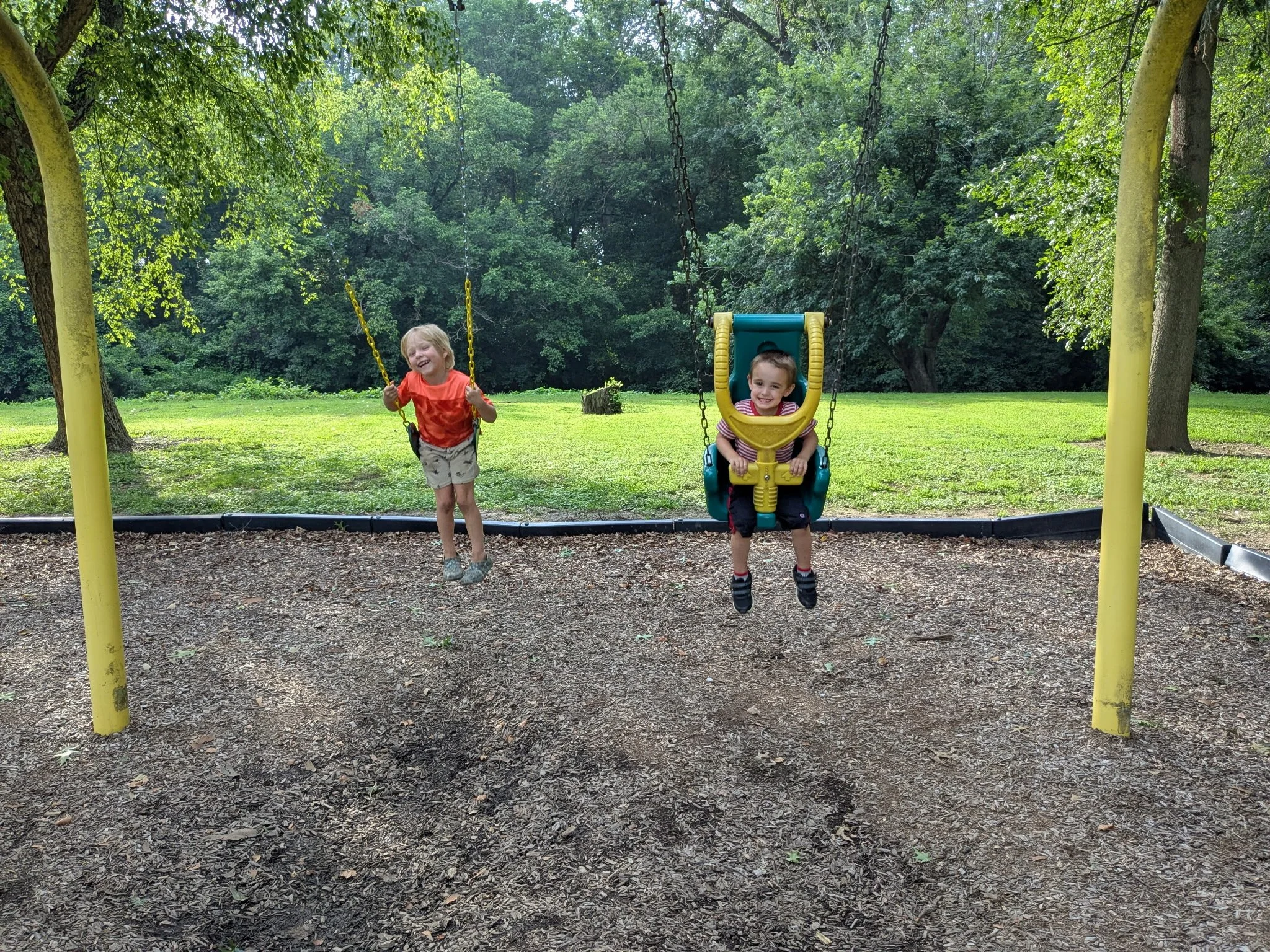 8426506811206030378.jpg