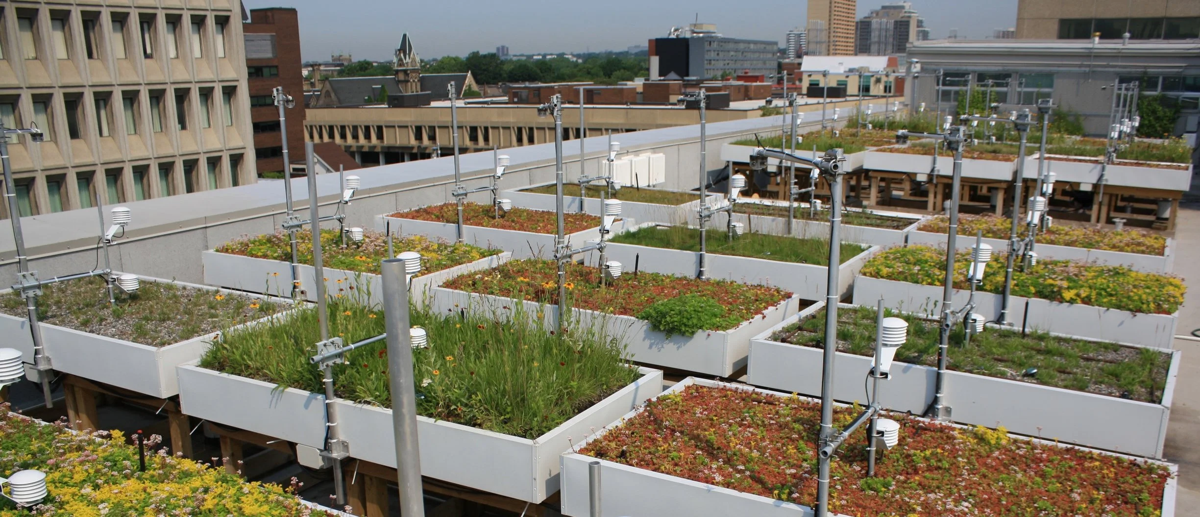 Rooftop garden with various plants in white raised beds, surrounded by climate monitoring equipment and cityscape background.