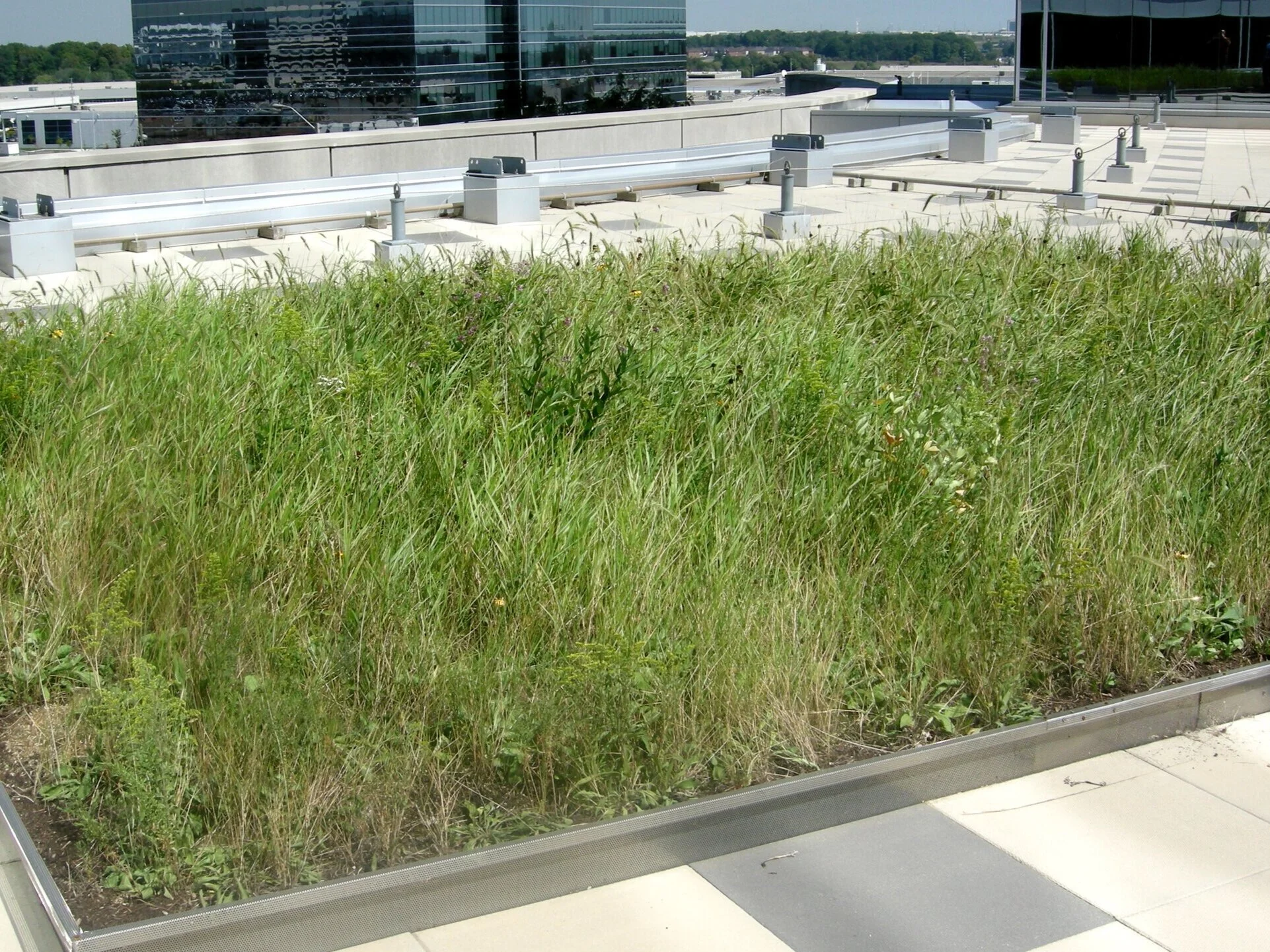 MODULAR GREEN ROOFS