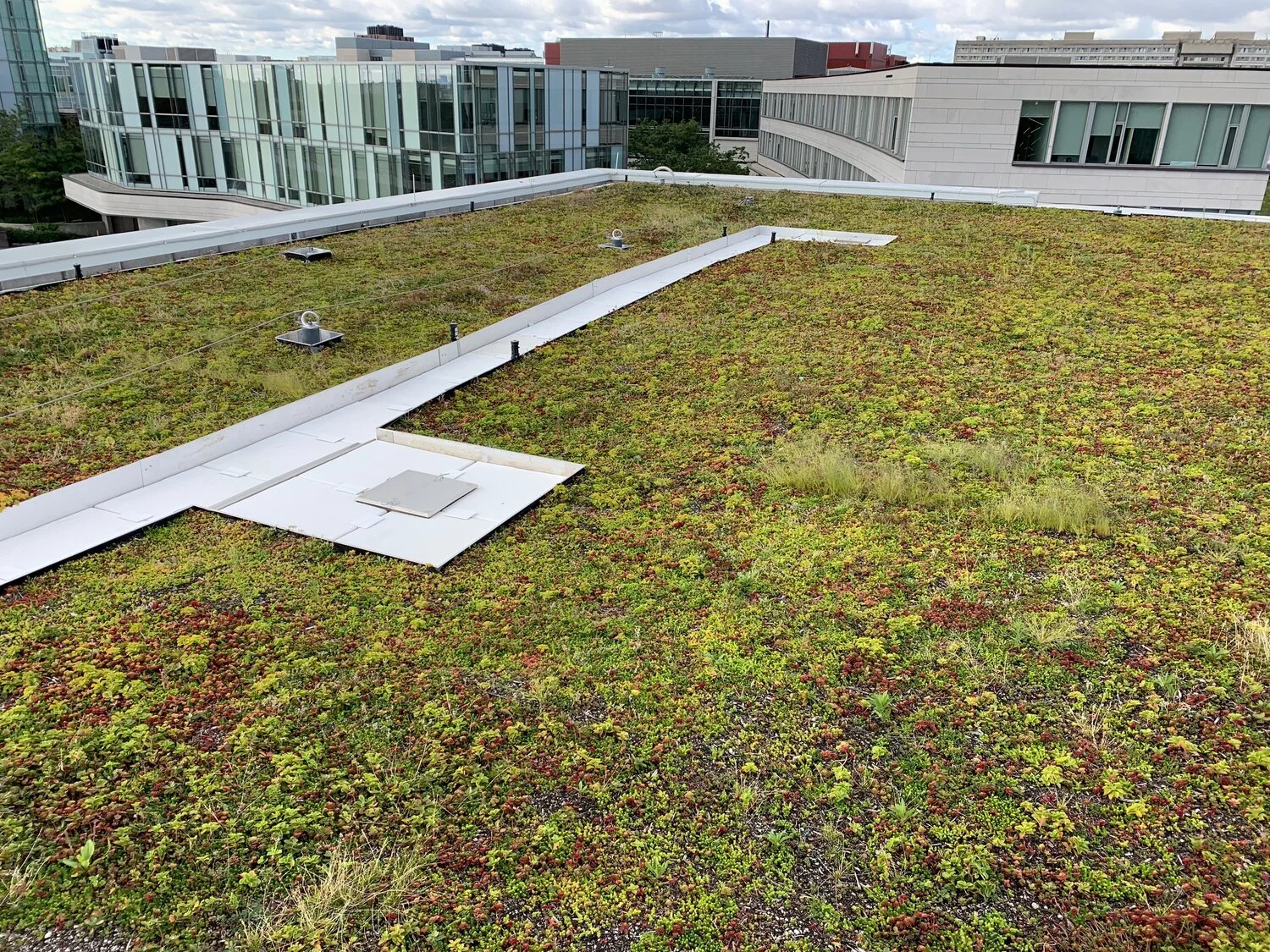 York University Schulich School of Business