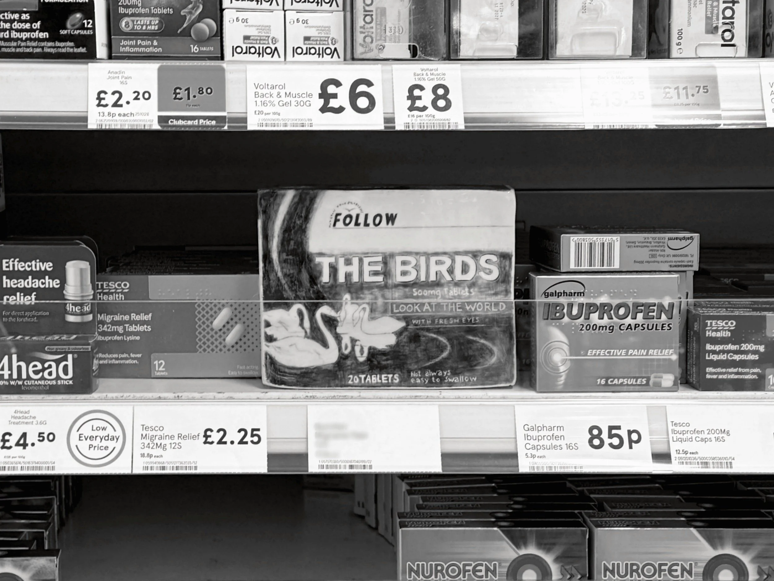 Nandini-Takhar-follow-the-birds-intervention2-2025.jpg