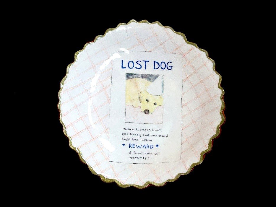 Lost dog