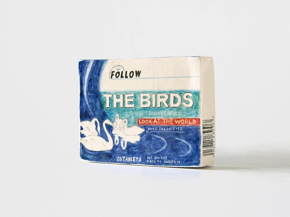 Follow the birds
