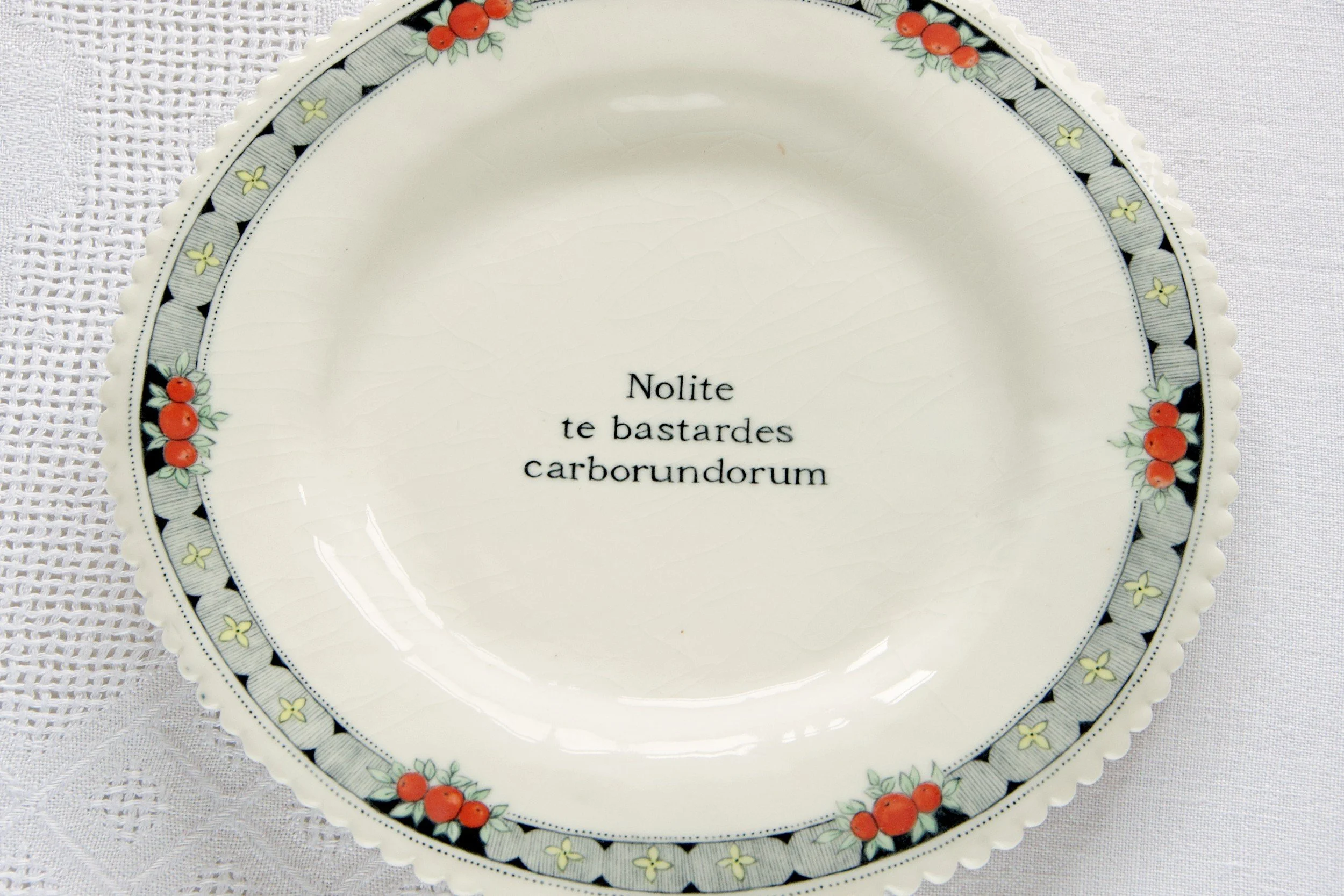 Nandini-Takhar-nolite-te-bastardes-carborundorum-2-2024.jpg