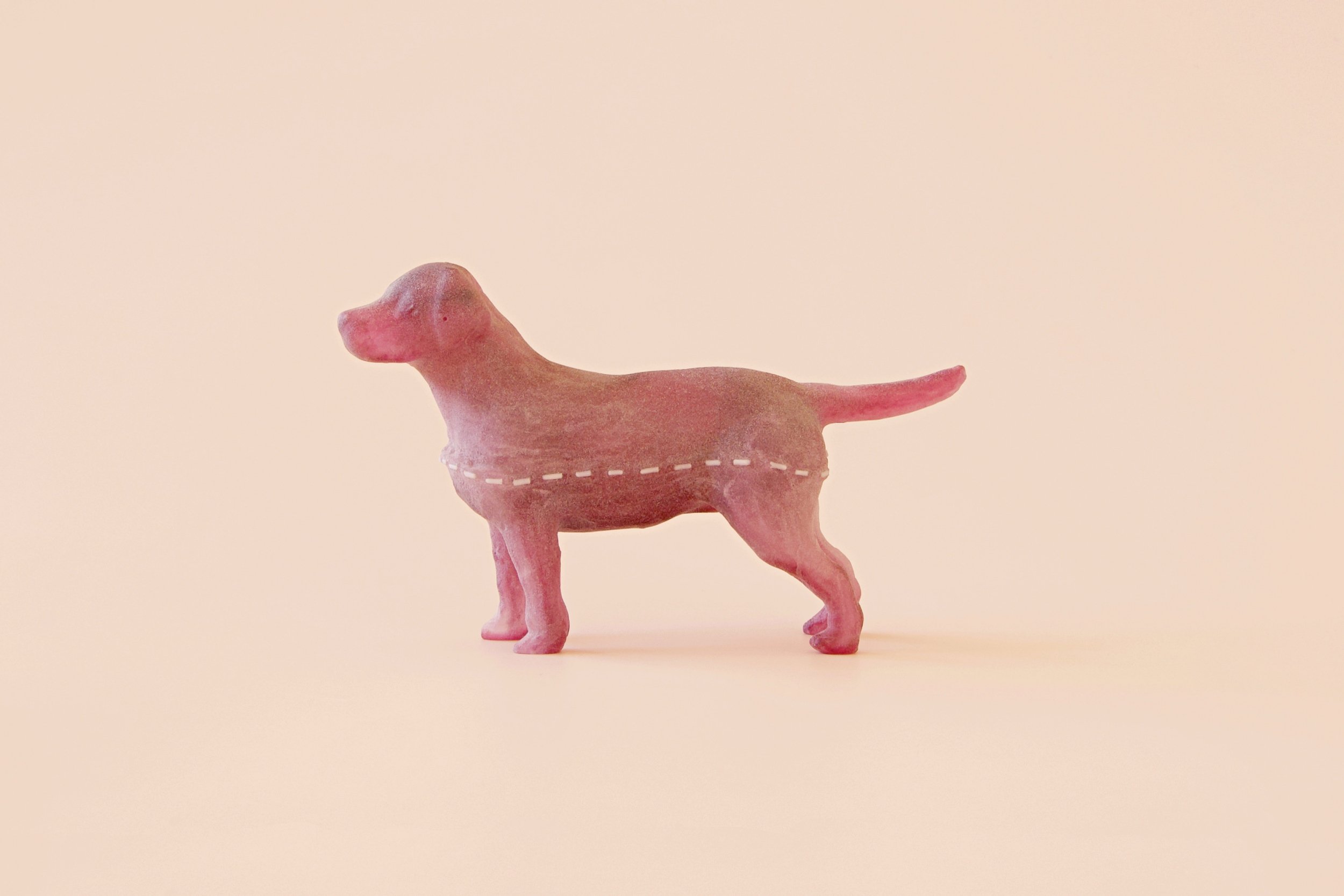 Nandini-Takhar-stitched-dog-3-2023.jpg