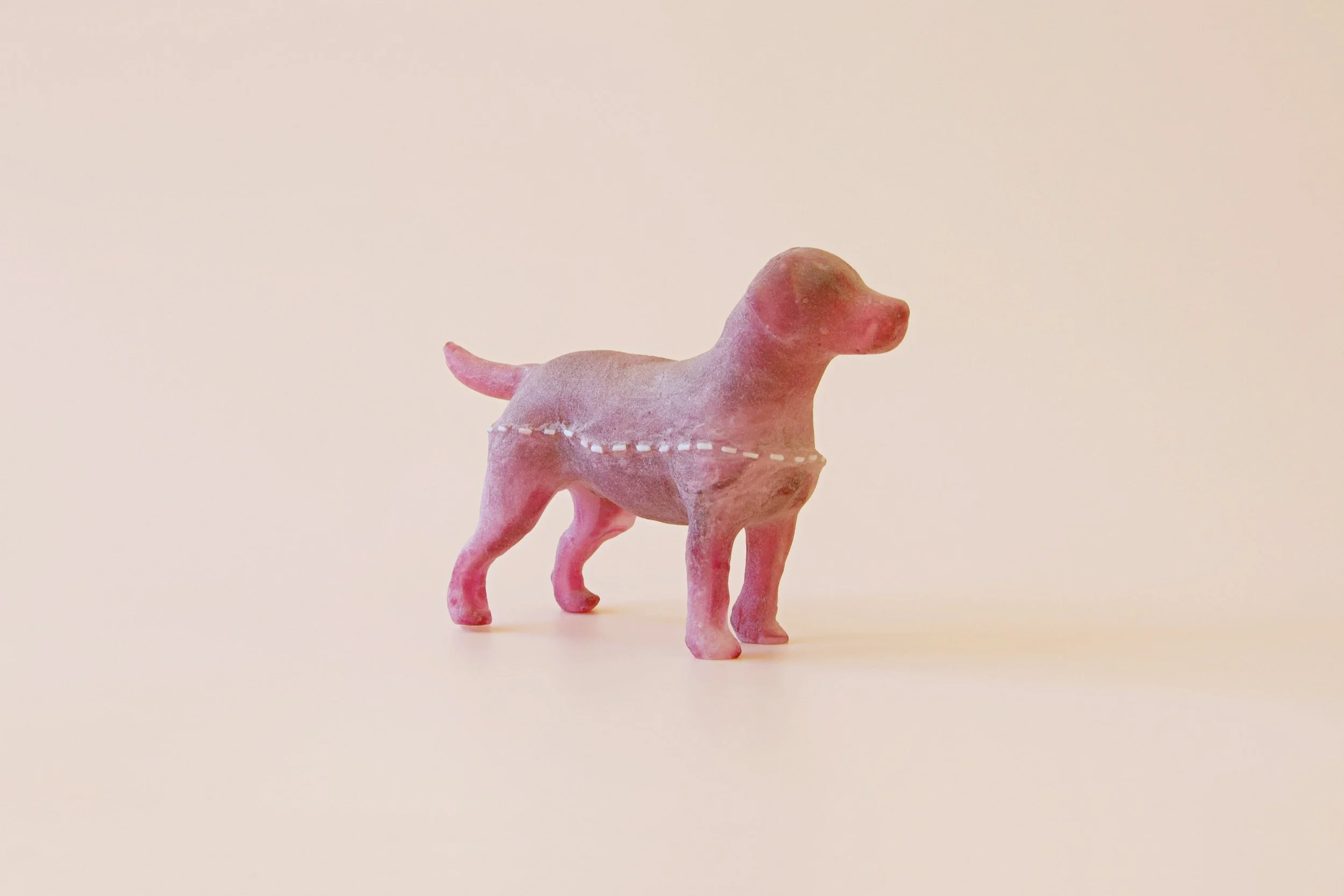 Nandini-Takhar-stitched-dog-4-2023.jpg