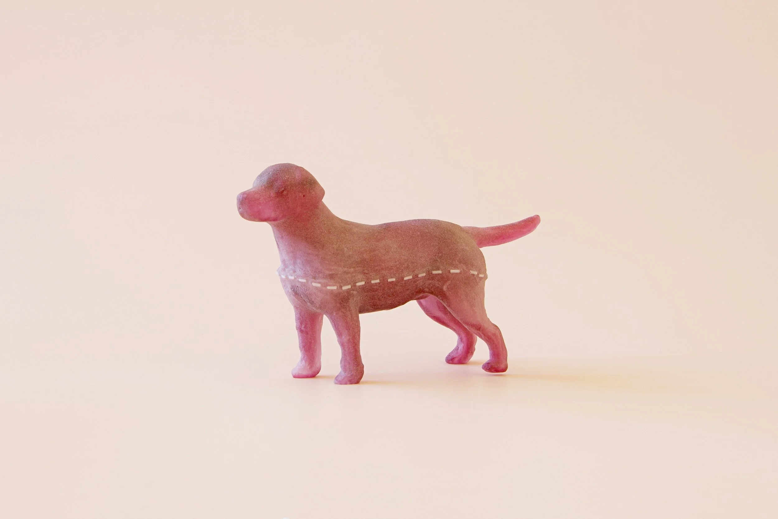 Nandini-Takhar-stitched-dog-2-2023.jpg