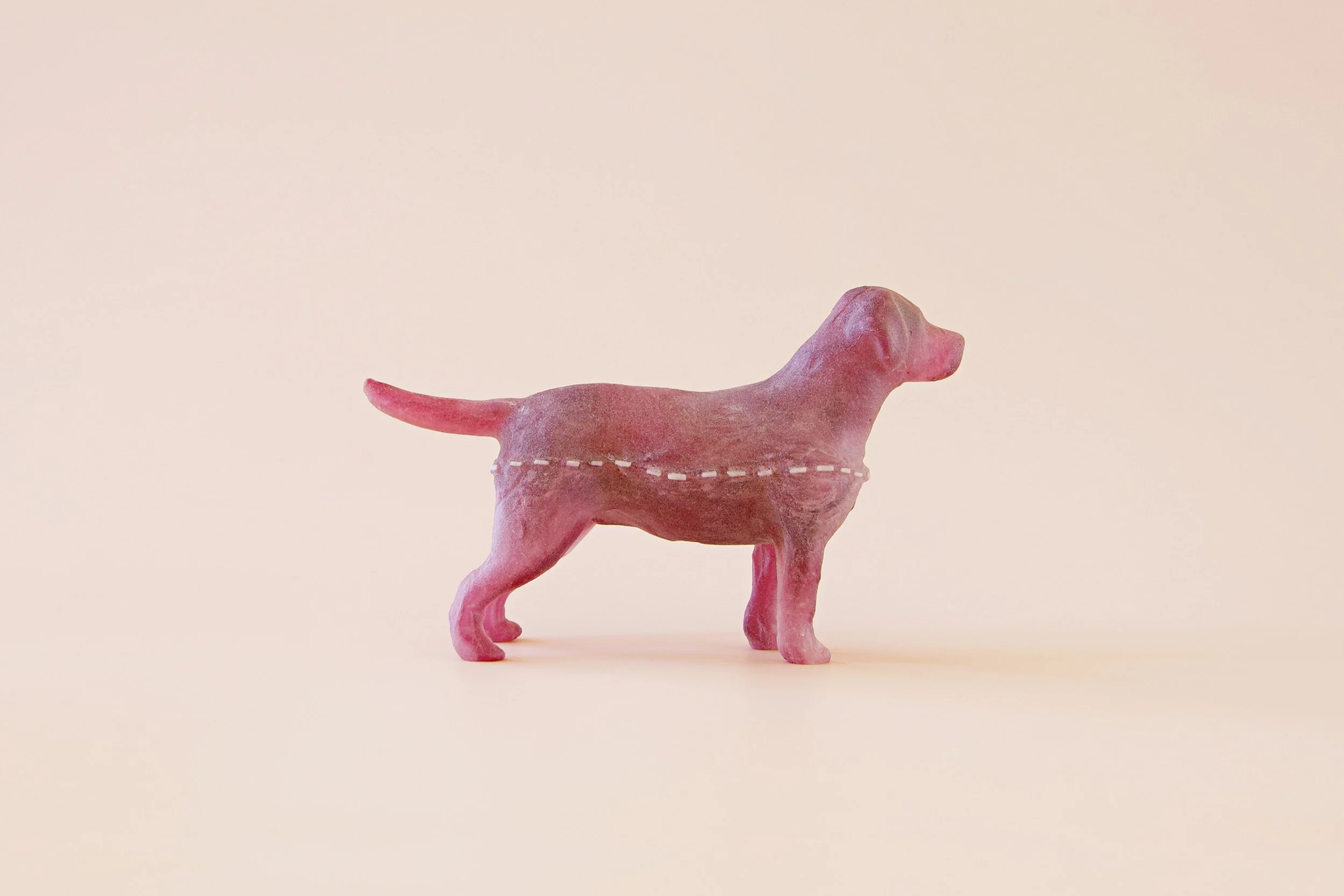 Nandini-Takhar-stitched-dog-102023.jpg