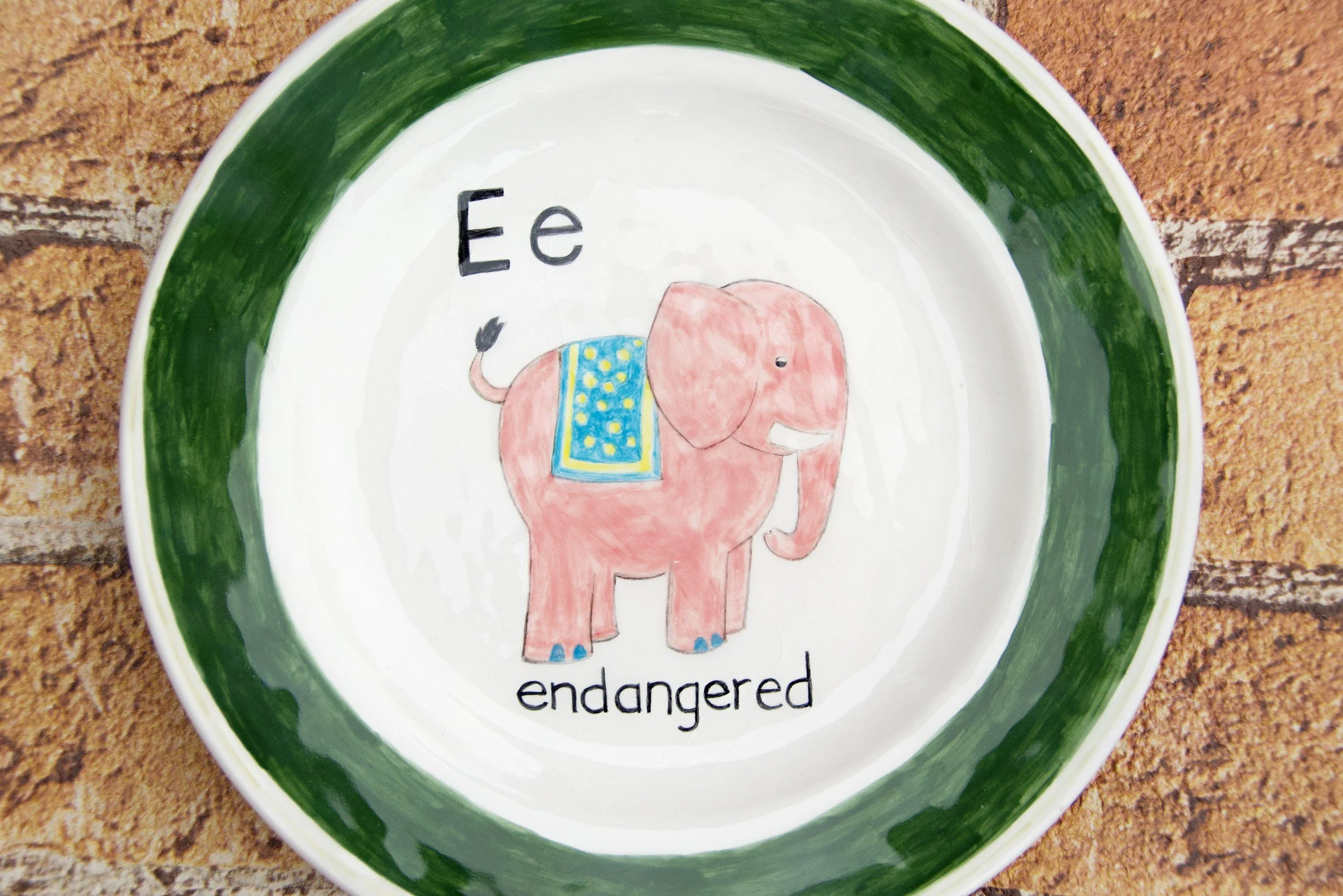 Nandini-Takhar-endangered-4-2020.jpg
