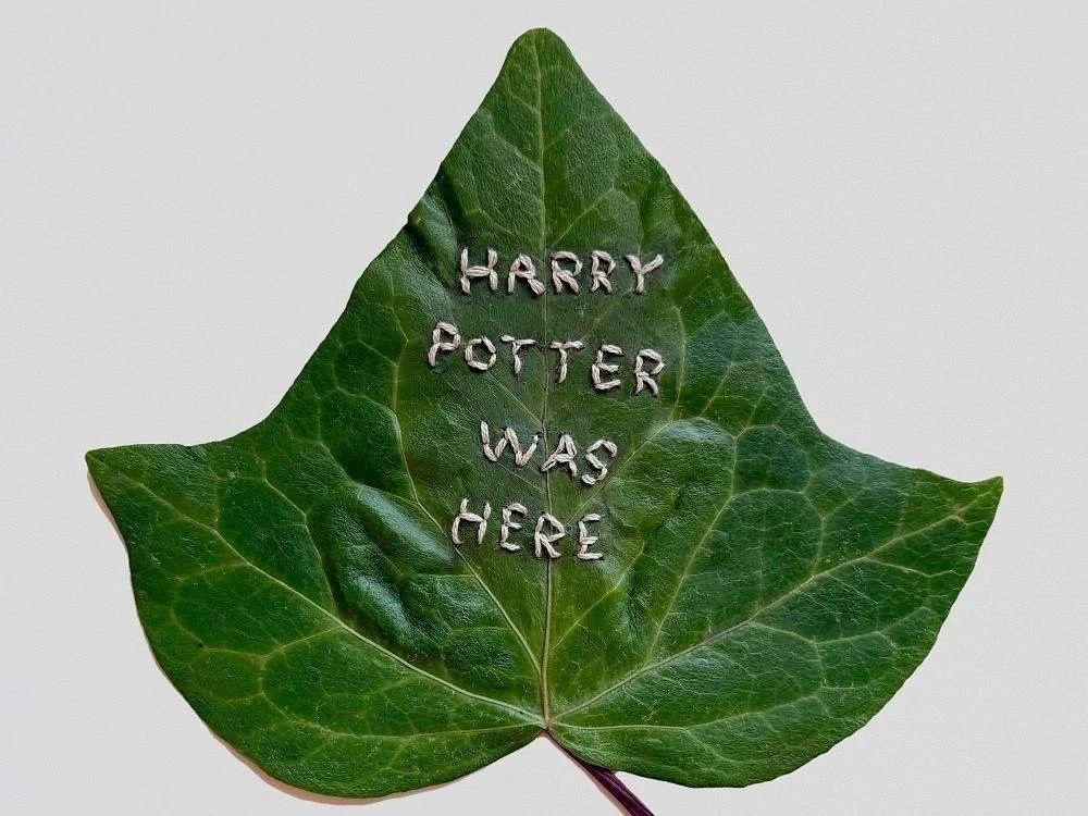 Harry Potter was here