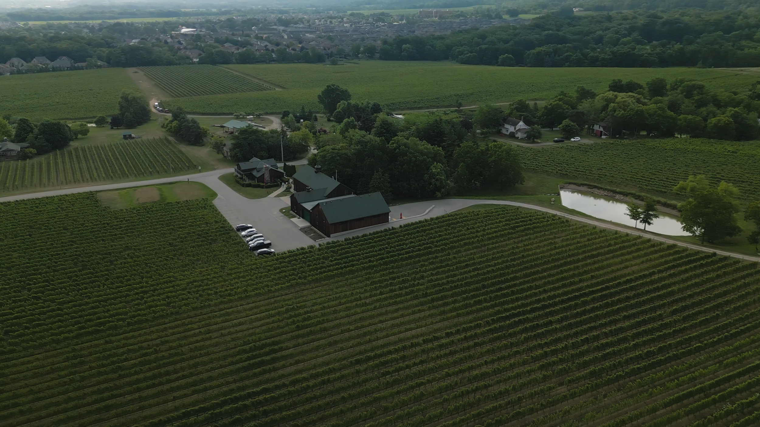 4K AERIAL WINERY FLY BACK AND UP AND PAN.mp4.00_00_00_00.Still001.png