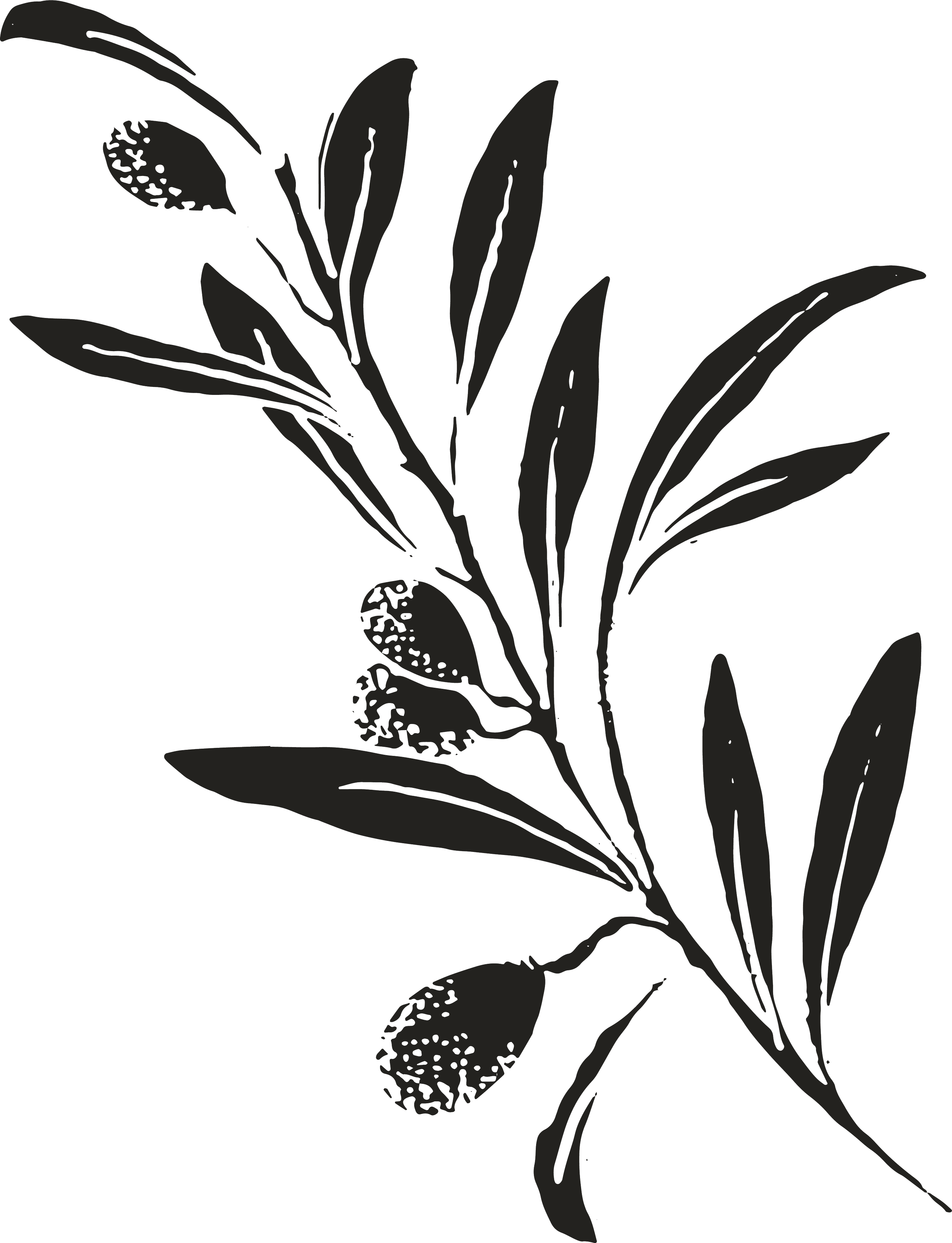 Steve and Tina Socha, Home Group leaders in North Rancho Bernardo meeting every other Tuesday