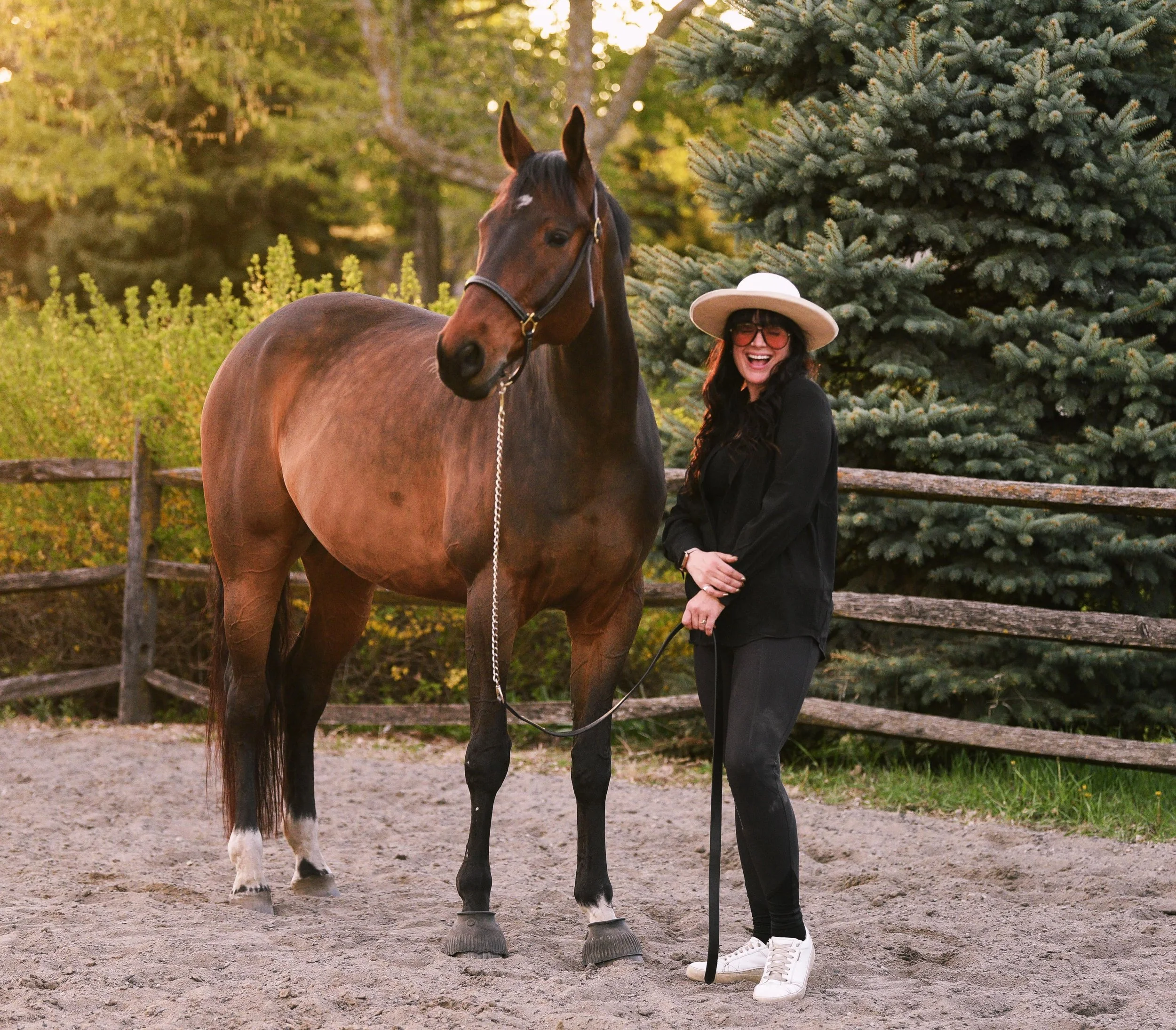 Feeling so very lucky to spend my days doing what I love with such wonderful animals and people. ✨

Recent days have had me repeating a Paulo Coelho line in my head that has always stuck with me &ldquo;When you want something, all the universe conspi