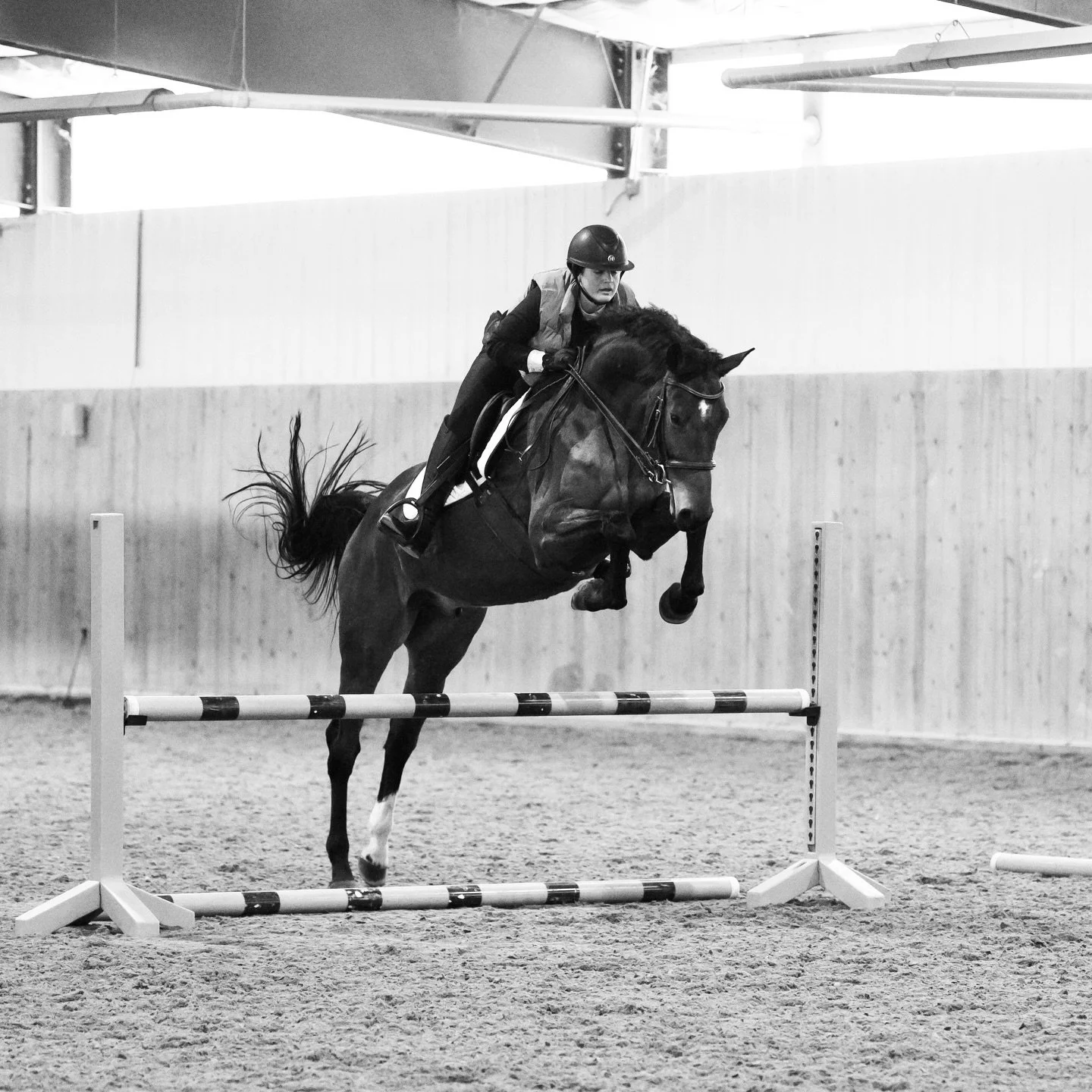 This young horse deserves his own spot on the grid!⭐️

I&rsquo;m so thrilled with how Marley jumped last weekend and how eager he is to learn, the future looks bright! 

Thanks Angela Mahoney for the ride on this sweet boy.💛