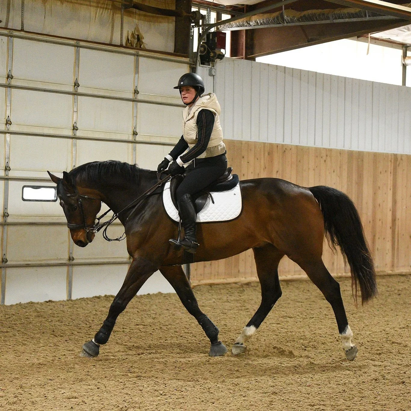 Thank you to @scenic_river_farms for bringing in Dani Grice for a really amazing clinic last weekend. I feel really lucky to have brought such a great group of students and horses along to show off what we've been working on all winter! ⁠
⁠
One of my