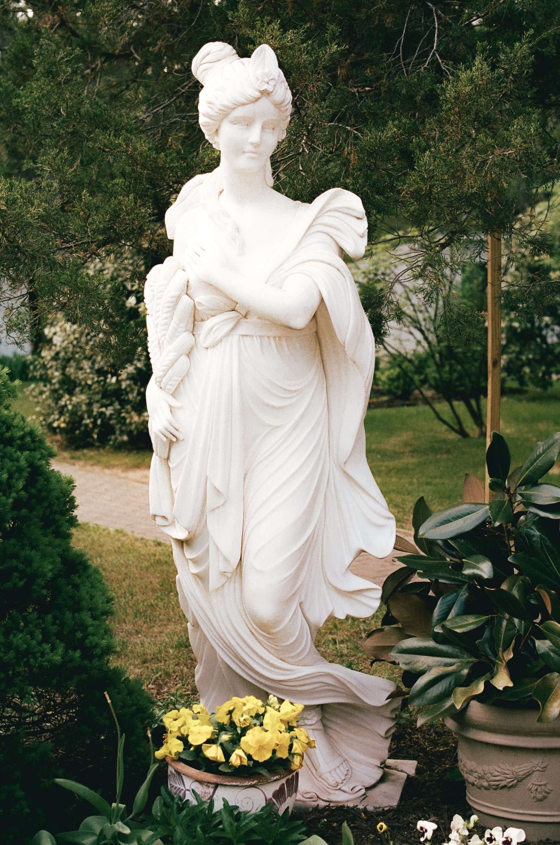 35mm film photograph of a statue at a southern California wedding reception