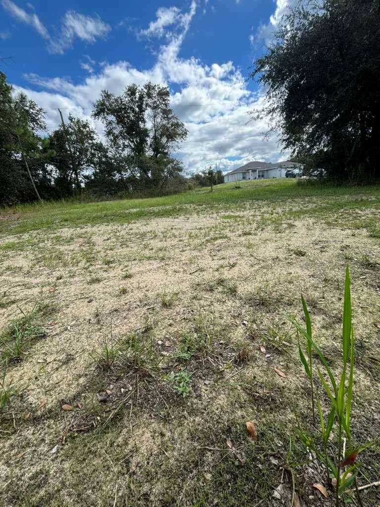 00143078-8f73-457e-9cbf-4d0141ce890a.jfif