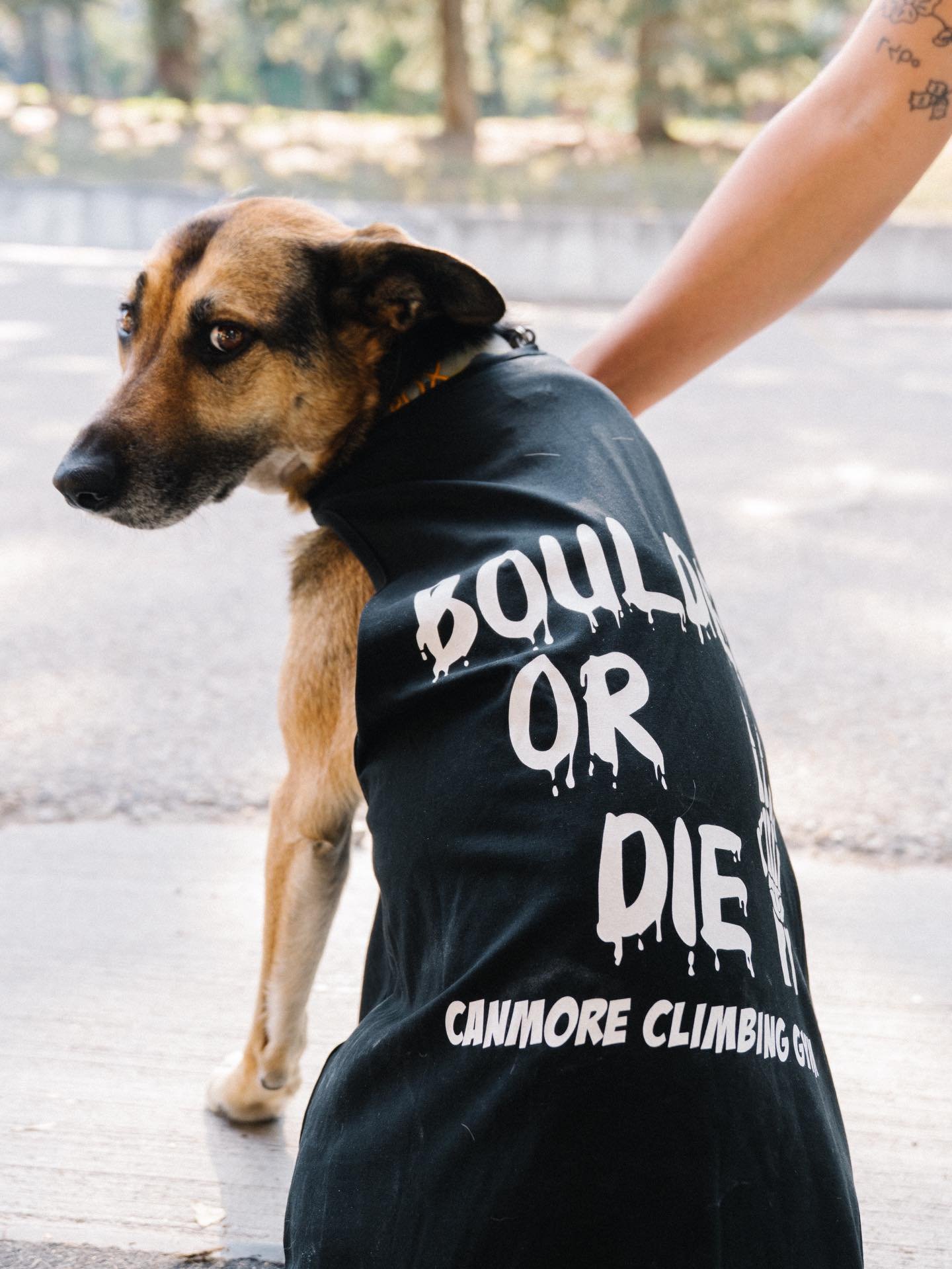 NEW MERCH DROP! 👀

New tops, revisited designs.

Come find your new favourite at the gym.

We&rsquo;ve had Crux put it through the ultimate quality check, and it got the paw of approval. 🐾

Available now at CCG.